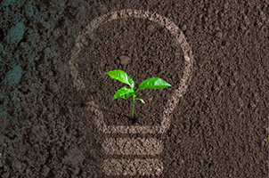 Corporate Environment Policy